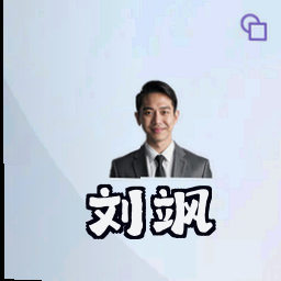 刘飒